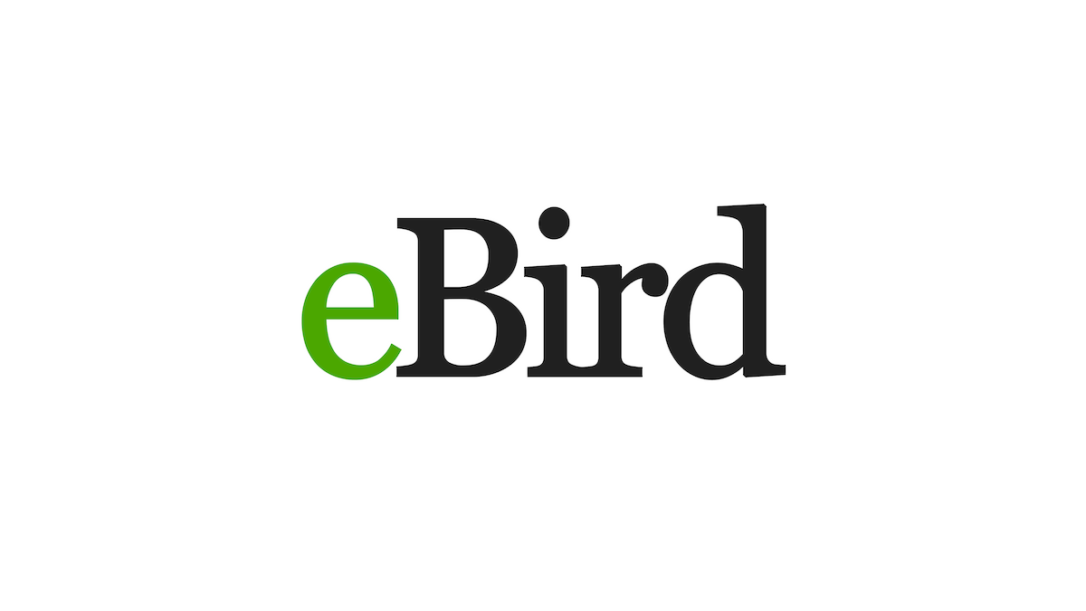 eBird, Cornell Lab of Ornithology
